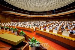 Tăng yêu cầu quản lý, phải đồng thời giảm thủ tục cho doanh nghiệp