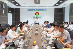 Cụm Khí - Điện - Đạm đóng góp chủ lực vào tăng trưởng của tỉnh Cà Mau