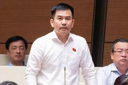 Từ vụ bắt 'giang hồ mạng', ĐBQH đề nghị quy định trách nhiệm các nền tảng số