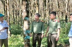 Quy định về nguyên tắc kết hợp an ninh với kinh tế - xã hội