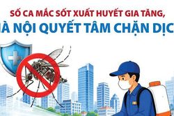 Số ca mắc sốt xuất huyết gia tăng, H&agrave; Nội quyết t&acirc;m chặn dịch