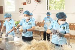 'Đại sứ' đặc sản l&agrave;ng qu&ecirc; tr&ecirc;n thị trường số to&agrave;n cầu