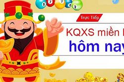 Kết quả xổ số (KQXS) hôm nay Chủ nhật ngày 9/8/2026