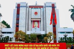 Hà Nội xem xét miễn nhiệm chức vụ Ủy viên UBND TP với 11 lãnh đạo sở, ngành