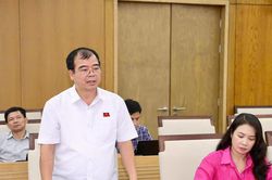 Hải Phòng đề xuất 1 đặc khu, 2 phường là đơn vị hành chính cấp xã loại đặc biệt