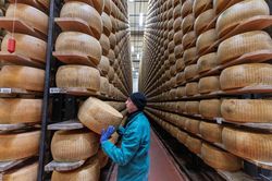 Đế chế 'vàng trắng' của Italy: 3 năm chờ đợi đổi lấy hàng tỷ euro