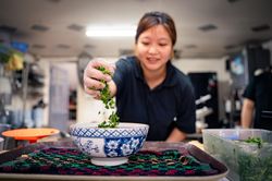 Những món trong 'Miếng ngon Hà Nội' vẫn được yêu thích sau 70 năm