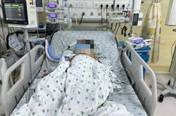 Ba chị em ngộ độc sau nhiều ngày ăn chuột đồng