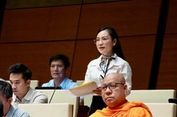 Đề xuất cấm sử dụng h&ograve;a giải đối với c&aacute;c vụ việc bạo lực gia đ&igrave;nh, x&acirc;m hại trẻ em