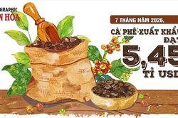 Cà phê Việt Nam xuất khẩu 7 tháng đạt 5,45 tỉ USD