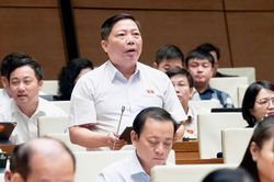 Đại biểu Quốc hội đề nghị xác định rõ 'biên giới' của Luật Xuất bản trên không gian mạng