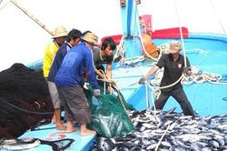Kế hoạch khắc phục khuyến nghị của EC về chống khai th&aacute;c IUU