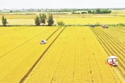 Cơ giới hóa sản xuất