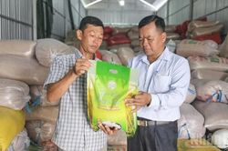 Cần Thơ nâng tầm sản phẩm OCOP từ chất lượng đến thương hiệu