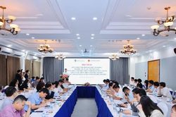 Phát triển mô hình đại học tinh hoa, đại học xuất sắc tại Việt Nam