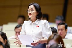 Đại biểu Quốc hội b&agrave;n về phạm vi bồi thường trong quản l&yacute; thuế