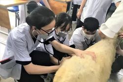Trường ĐH Nông lâm TPHCM: Ngành Kỹ thuật điều khiển và tự động hóa có điểm chuẩn 24,85