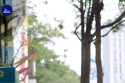 Thí sinh nữ khu vực miền Nam cần đạt 29,76 mới trúng tuyển Học viện Quân y