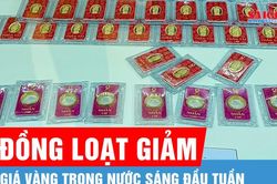 Sáng 10-8, giá vàng đồng loạt giảm