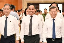TAND TPHCM đi đầu trong chuyển đổi số, xây dựng tòa án điện tử
