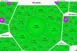 Sắc xanh, sắc tím lan rộng trên thị trường phiên đầu tuần