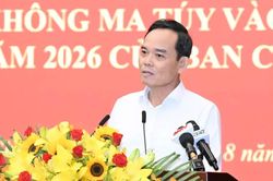 B&iacute; thư Th&agrave;nh ủy TPHCM Trần Lưu Quang: Lập 'bản đồ' về ma t&uacute;y đến từng x&atilde;, phường, đặc khu