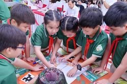 Đà Nẵng giảm hơn một nửa đầu mối trường công lập