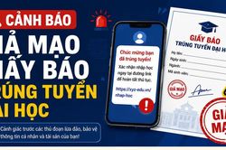 [INFOGRAPHIC] Cảnh báo giả mạo giấy báo trúng tuyển Đại học