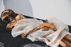 2.500 năm nằm dưới băng, 'Thiếu nữ băng Siberia' khiến giới khảo cổ kinh ngạc