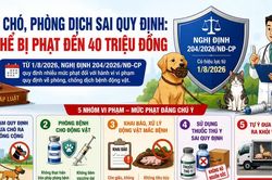 [INFOGRAPHIC] Các mức phạt mới trong lĩnh vực thú y ra sao?