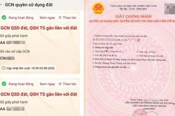 Sổ đỏ bắt đầu hiển thị trên VNeID, người dân có thể tra cứu
