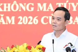Từng l&atilde;nh đạo x&atilde;, phường ở TPHCM phải biết r&otilde; nơi khu tr&uacute; v&agrave; đối tượng về ma t&uacute;y