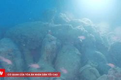 Phát hiện xác tàu La Mã 2.100 năm tuổi ngoài khơi Sicily