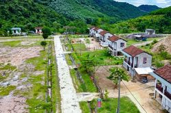 Kí ức đau buồn người mẹ 8 lần vượt cạn giữa rừng sâu, chỉ 4 con sống sót