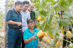 Không sợ thất bại, nông dân thu tiền tỷ từ mô hình sản xuất mới