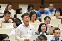 Đại biểu lo người lao động tự ký hợp đồng đi làm việc ở nước ngoài dễ bị lừa