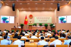 Hà Nội còn 14 cơ quan chuyên môn sau khi sắp xếp bộ máy
