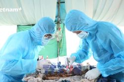 Tây Ninh: Hơn 3.000 mộ liệt sĩ đã được lấy mẫu ADN tìm danh tính