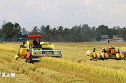 Cần Thơ đặt mục tiêu trở thành trung tâm kinh tế tầm thấp của khu vực