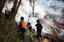 Indonesia ứng phó cháy rừng tại hai núi lửa Bromo và Gede