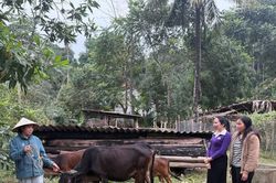 Thống nhất nguồn lực phát triển nông thôn mới và vùng dân tộc thiểu số giai đoạn 2026 - 2030