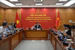 Hình thành 4 mạng lưới kết nối trí thức, chuyên gia người Việt Nam ở nước ngoài