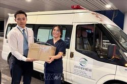 Khẩn cấp cứu bệnh nhân sốt rét ác tính