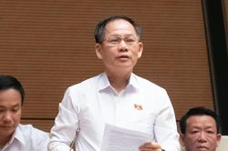 Lao động Việt phạm pháp ở nước ngoài, đại biểu đề nghị áp dụng biện pháp cấm xuất cảnh
