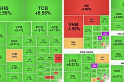 VN-Index tăng gần 9 điểm, nhóm tài chính và năng lượng dẫn dắt thị trường