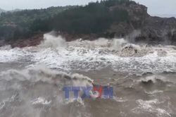 B&atilde;o Dolphin đổ bộ v&agrave;o Trung Quốc
