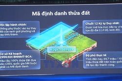 Đẩy mạnh xây dựng hạ tầng dữ liệu chiến lược quốc gia
