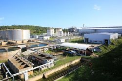 Tăng tính tự chủ sản xuất Ethanol trong nước để đạt lợi ích kép