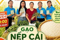 Khi cán bộ Hội trở thành 'chiến thần' livestream