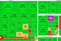 Chứng khoán phiên sáng 10/8: VN-Index 'rút chân' mạnh, lấy lại hơn 20 điểm từ đáy